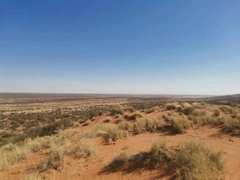 Kalahari Farm - Photo 3