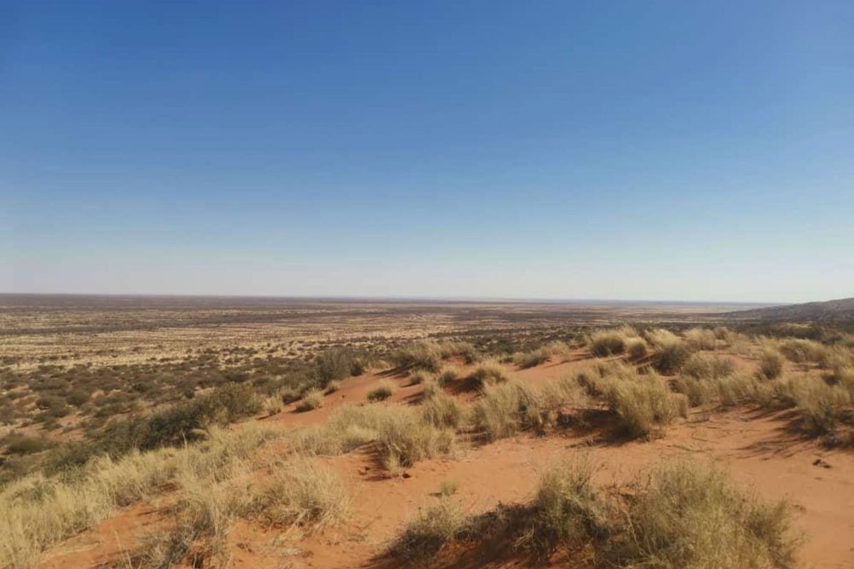 Kalahari Farm - Photo 3