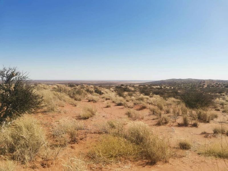 Kalahari Farm - Photo 2