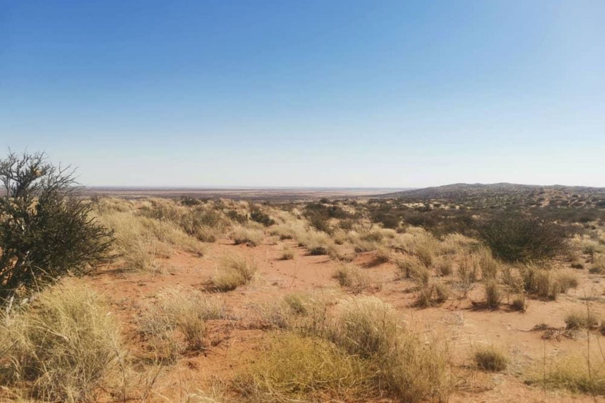 Kalahari Farm - Photo 2