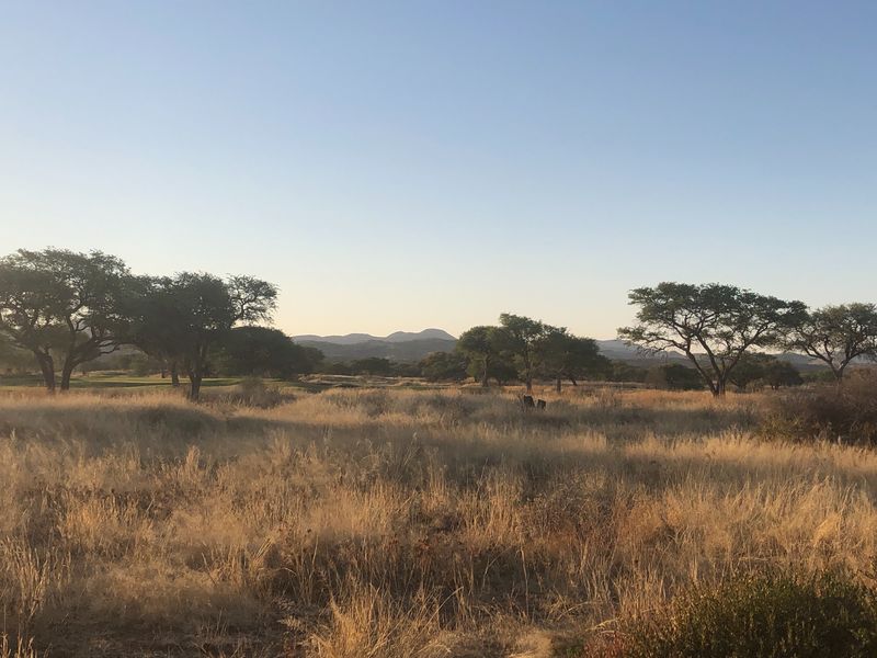 Enveloped by Nature - Photo 4