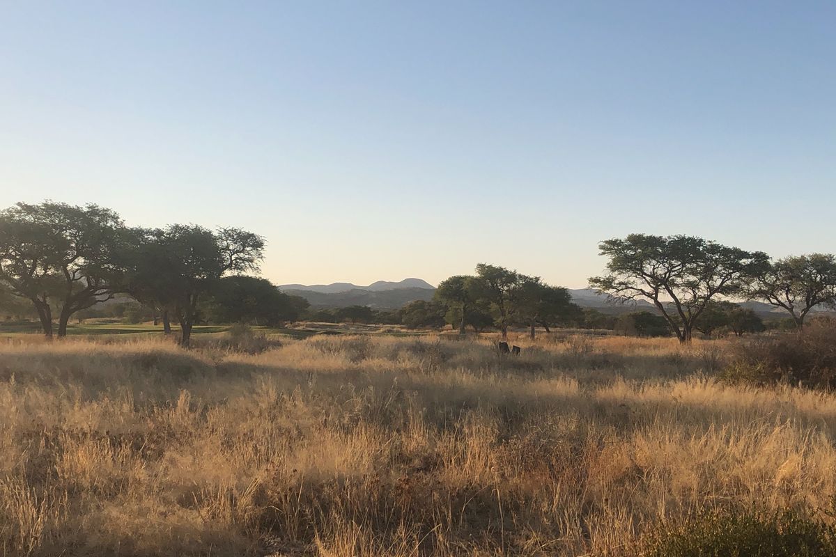 Enveloped by Nature - Photo 4