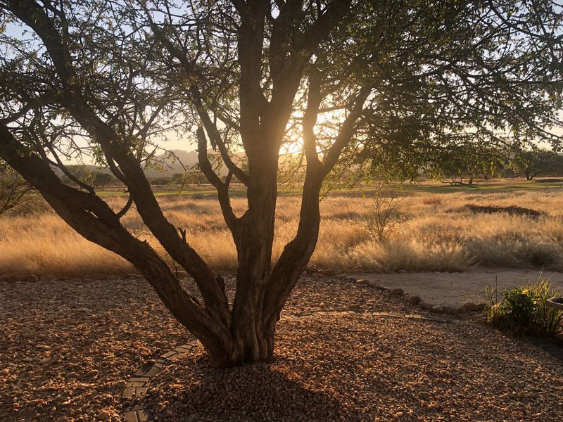 Enveloped by Nature - Photo 8