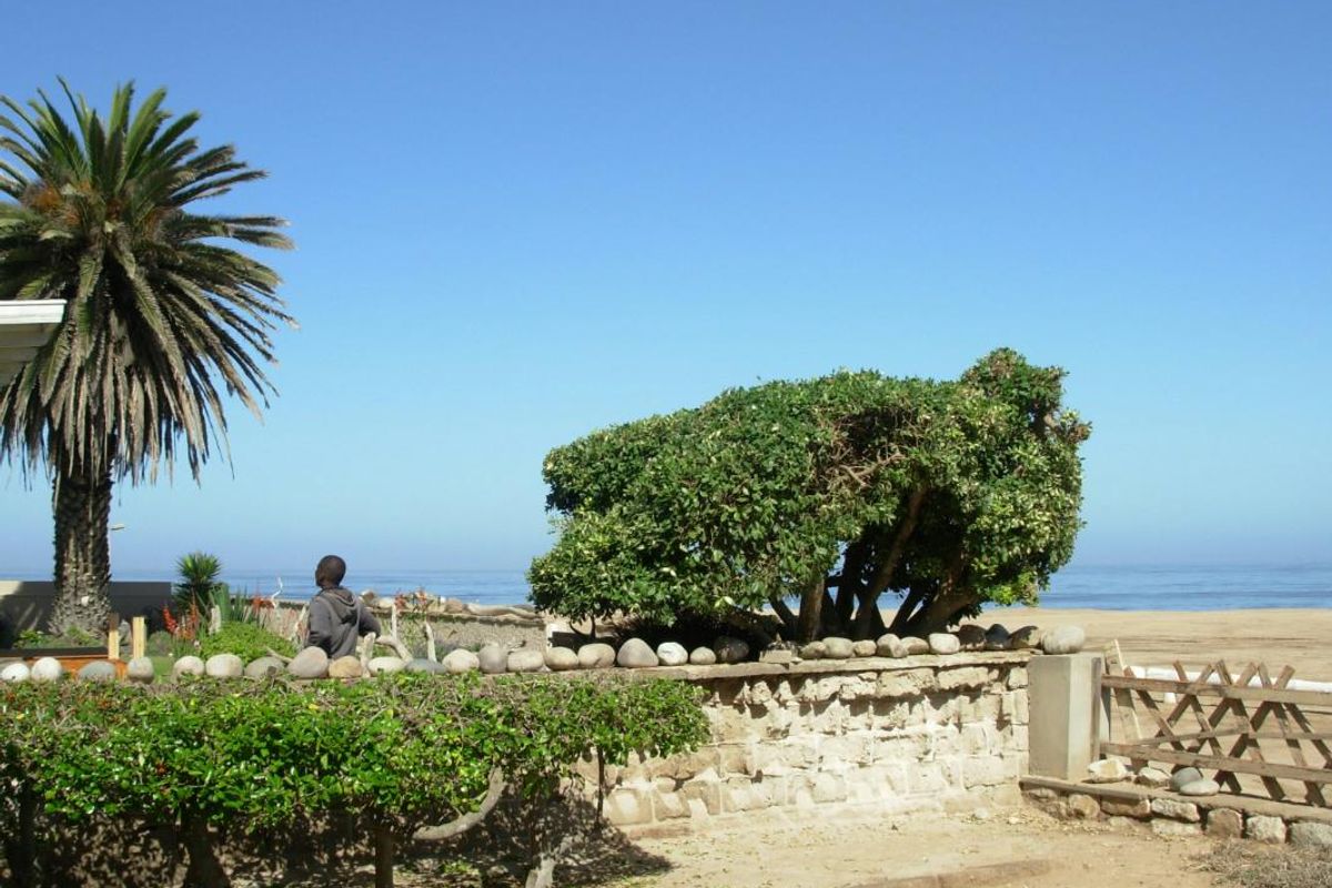 Uninterrupted  Sea View - Photo 2