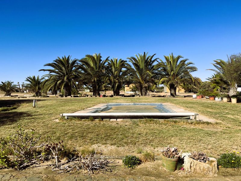 Outdoor pool area featuring a covered swimming pool surrounded by established palm trees and a large lawn space.