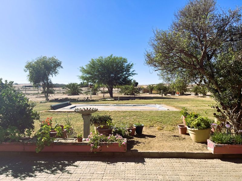A sunny outdoor pool area featuring a covered swimming pool, paved patio space, and established garden beds on a spacious farm property.