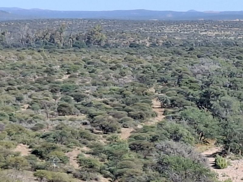 Expansive panoramic view of the surrounding natural landscape and bushveld terrain.