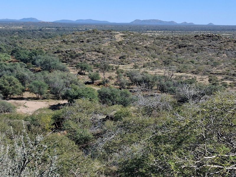 Expansive panoramic view of the natural farm landscape, featuring rolling hills, indigenous vegetation, and distant mountain ranges under a clear blue sky.