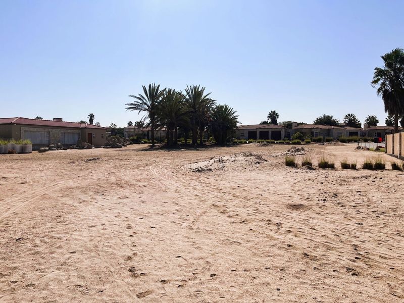 A large, undeveloped sandy plot featuring mature palm trees, offering potential for landscaping and garden development.
