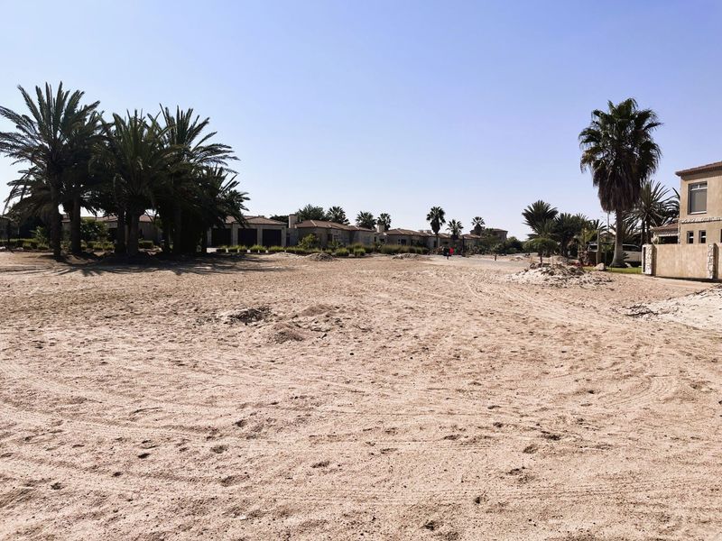 A wide view of a sandy, undeveloped plot of land surrounded by established palm trees and neighboring residential properties.