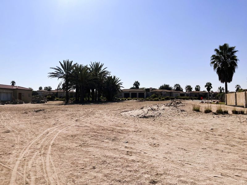 A large, undeveloped plot of land featuring mature palm trees and a boundary wall, offering significant potential for landscaping or future development.