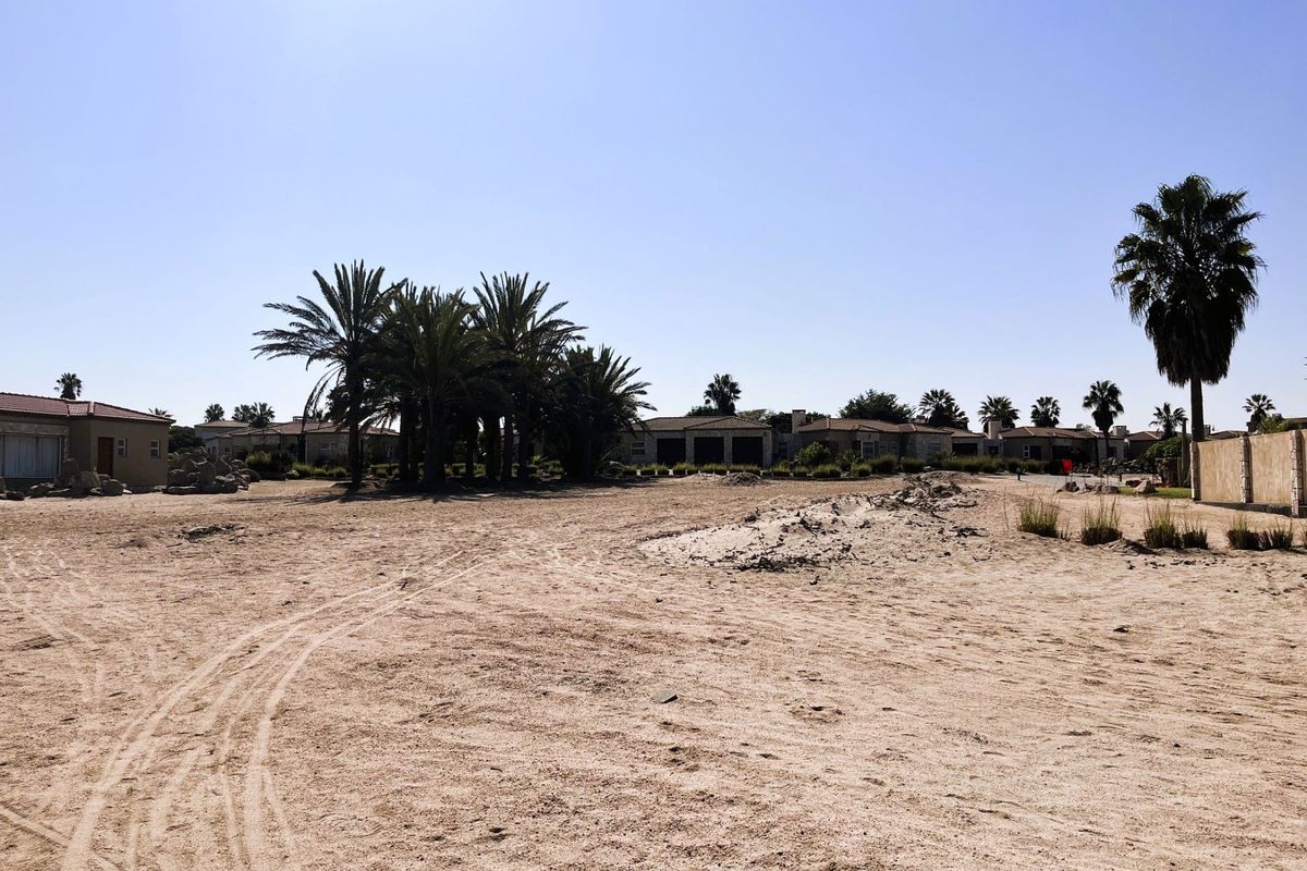A large, undeveloped plot of land featuring mature palm trees and a boundary wall, offering significant potential for landscaping or future development.