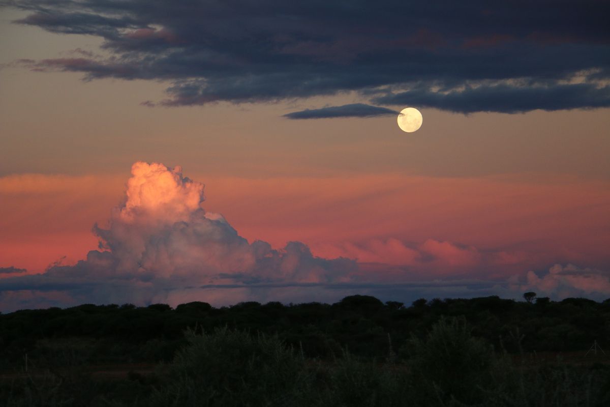 Luxurious, off the grid lifestyle - Photo 2