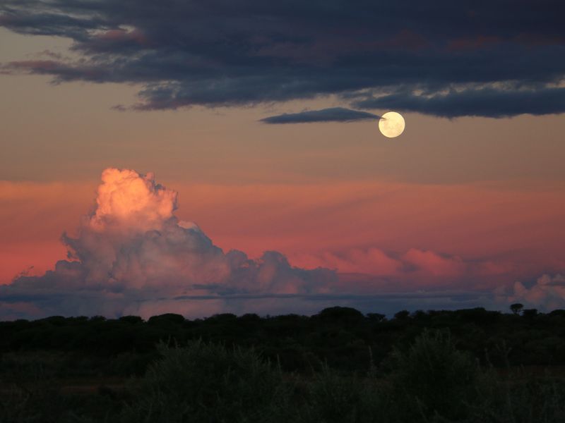 Luxurious, off the grid lifestyle - Photo 2