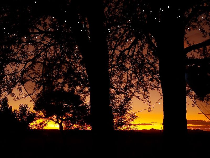 Luxurious, off the grid lifestyle - Photo 9