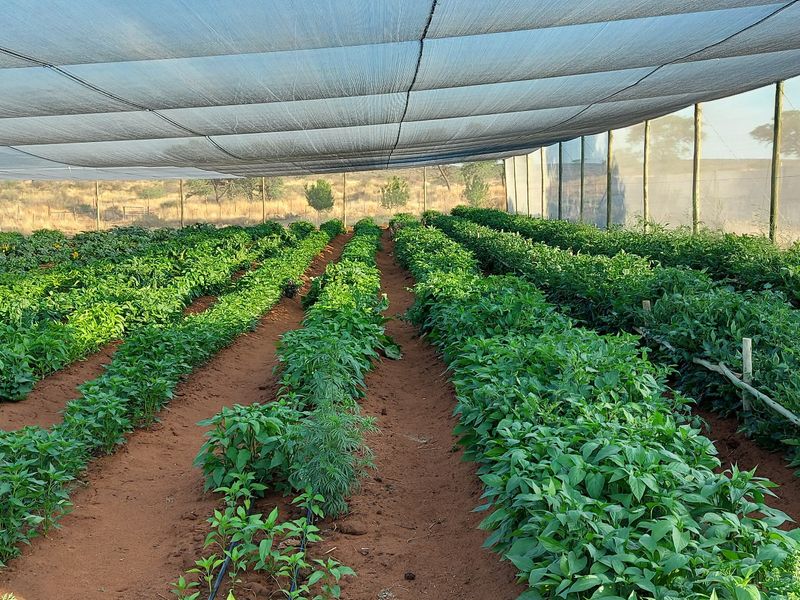 Luxurious, off the grid lifestyle - Photo 7