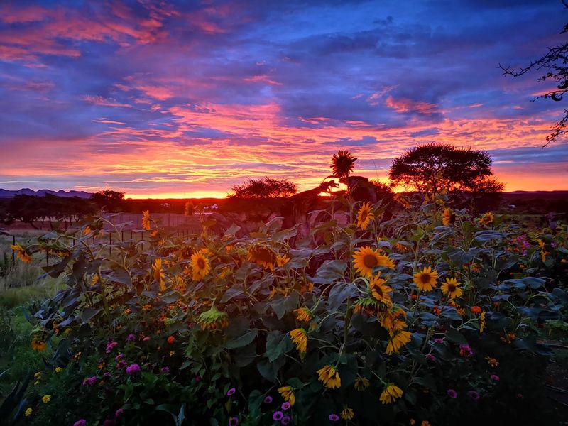 Luxurious, off the grid lifestyle - Photo 6