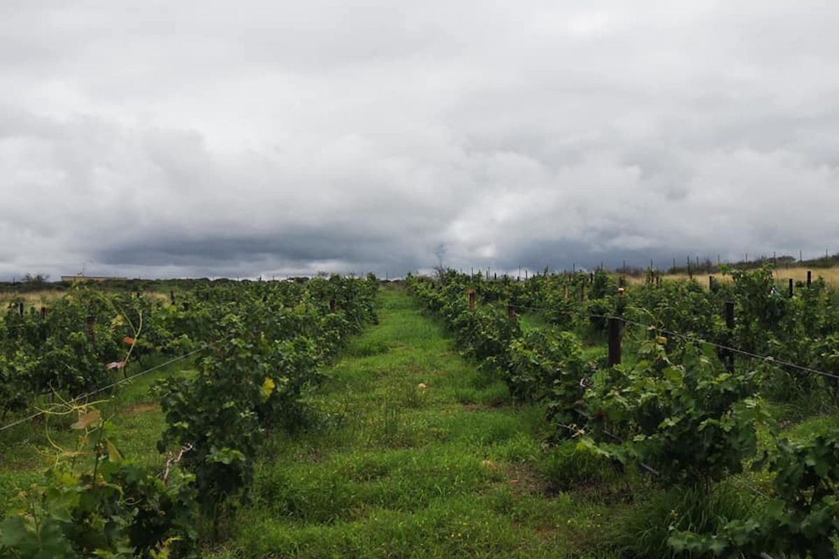 Luxurious, off the grid lifestyle - Photo 5