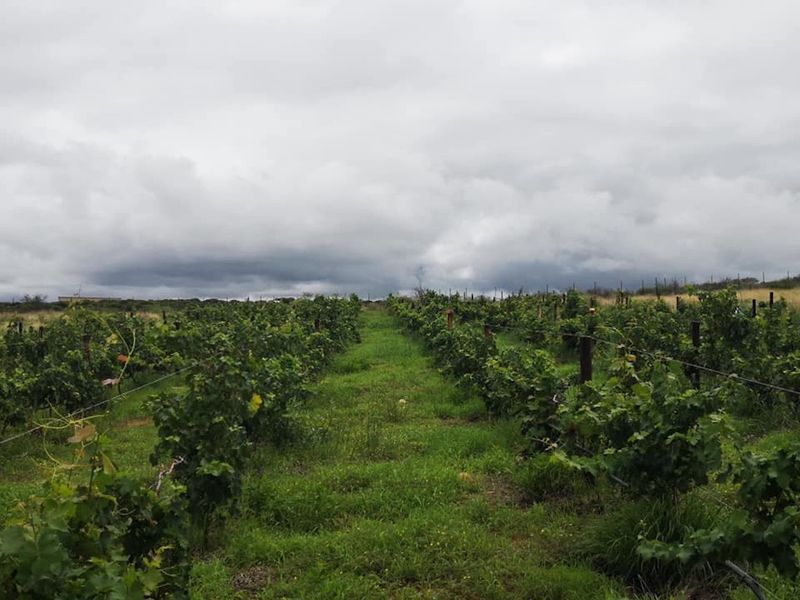 Luxurious, off the grid lifestyle - Photo 5