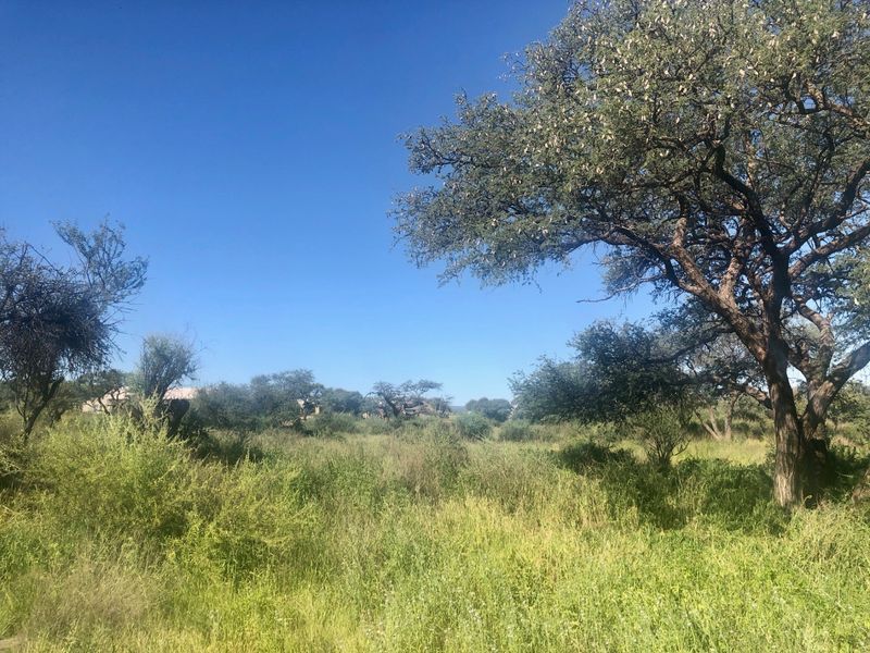 Beautiful erf with golf course views - Photo 6