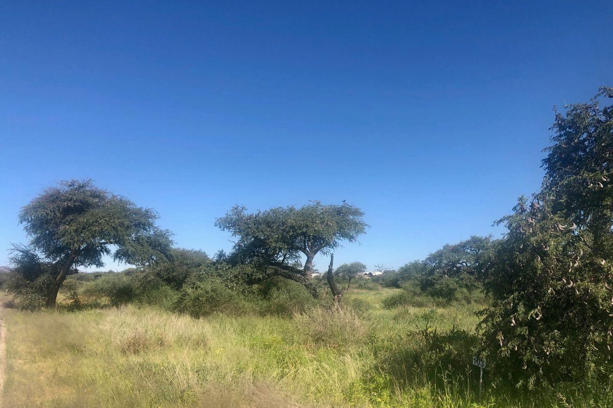 Beautiful erf with golf course views - Photo 3