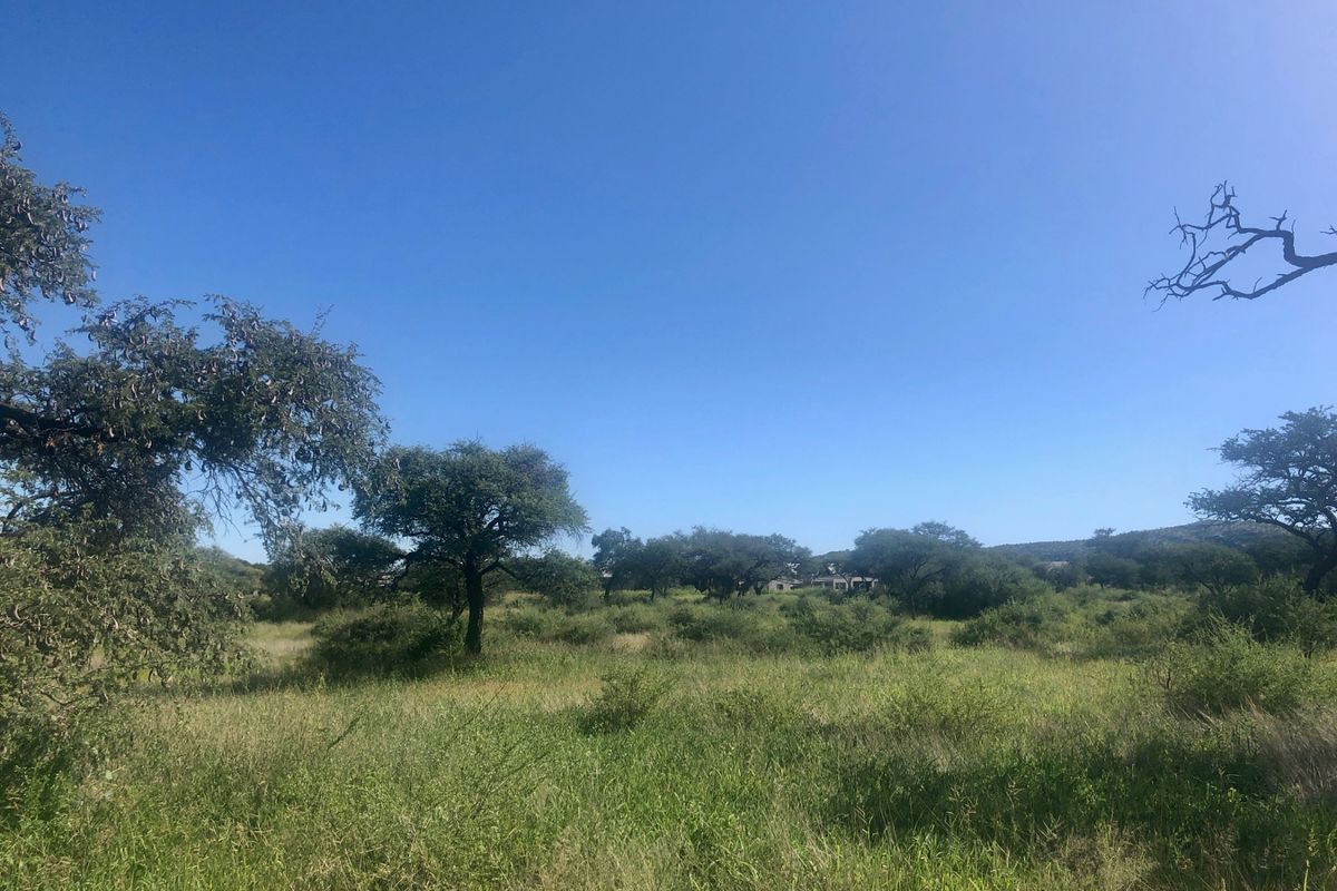 Beautiful erf with golf course views - Photo 4