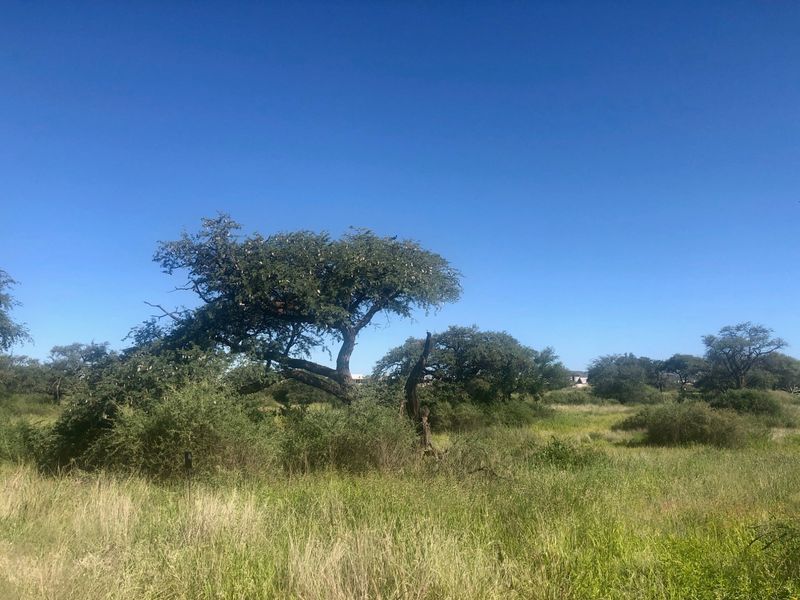 Beautiful erf with golf course views - Photo 1