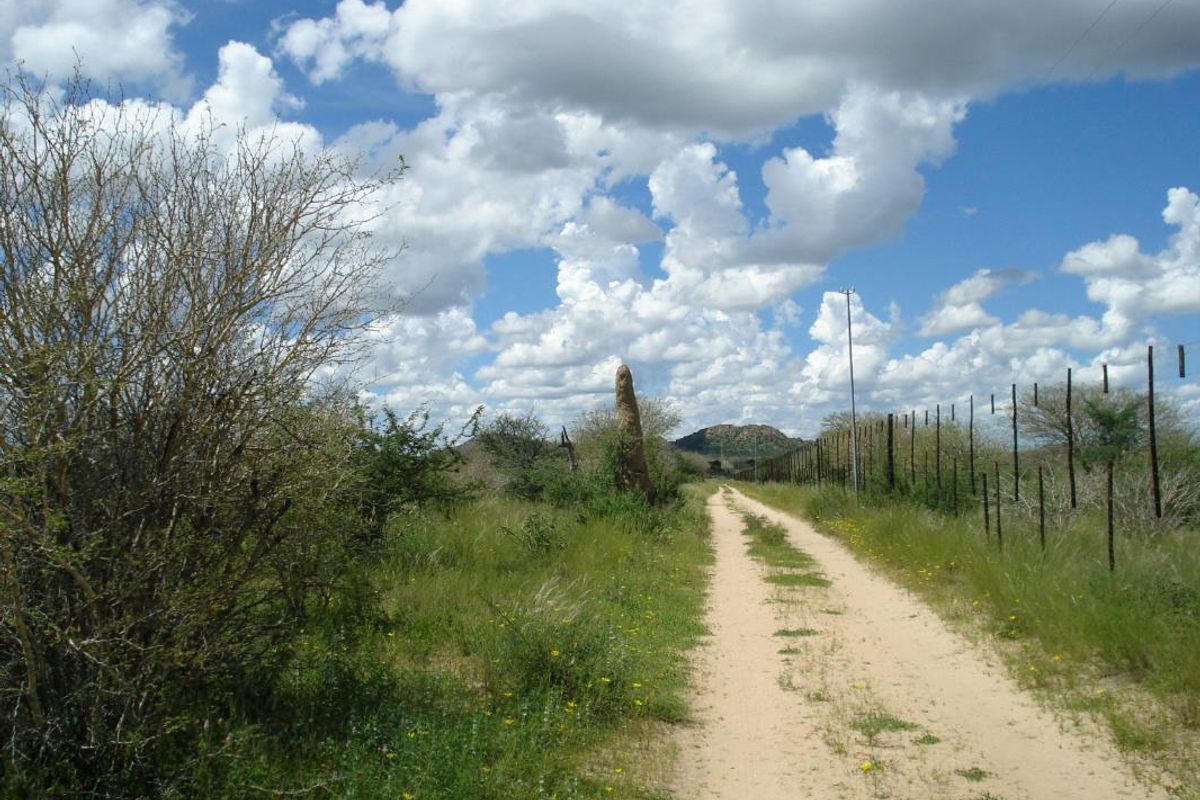 Smallholding in Omaruru - Photo 5