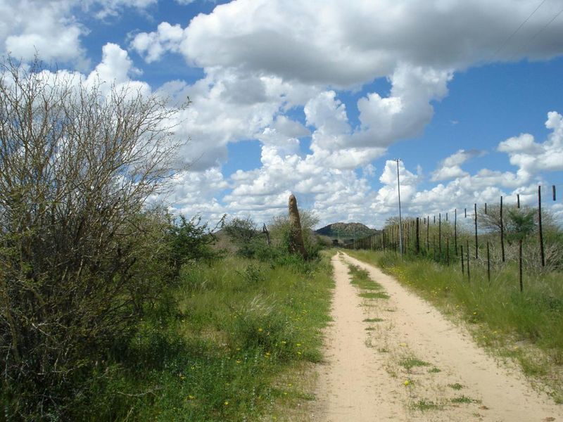 Smallholding in Omaruru - Photo 5