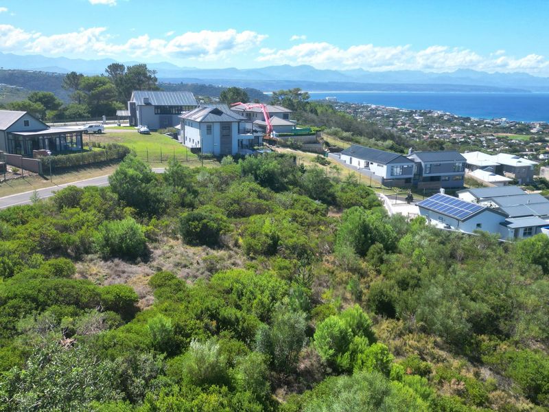 An aerial view of a residential estate featuring natural vegetation and surrounding coastal landscape.