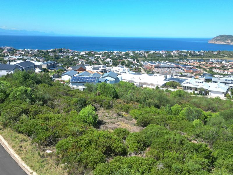 An elevated aerial view of a vacant residential plot featuring natural vegetation, road access, and panoramic coastal and ocean views.