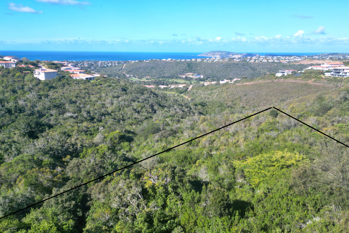 Elevated view overlooking a lush, vegetated valley with a distant coastal horizon and surrounding residential estate properties.