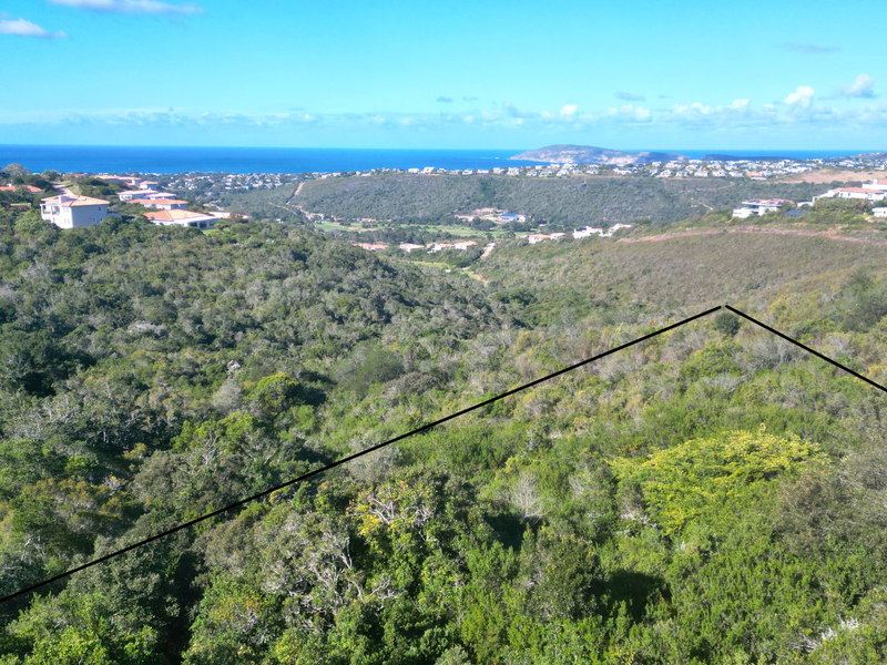 Elevated view overlooking a lush, vegetated valley with a distant coastal horizon and surrounding residential estate properties.