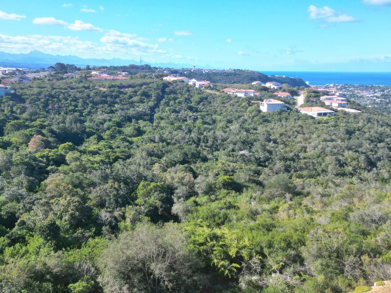 An elevated aerial view showcasing the expansive coastal landscape, surrounding indigenous vegetation, and distant residential developments.