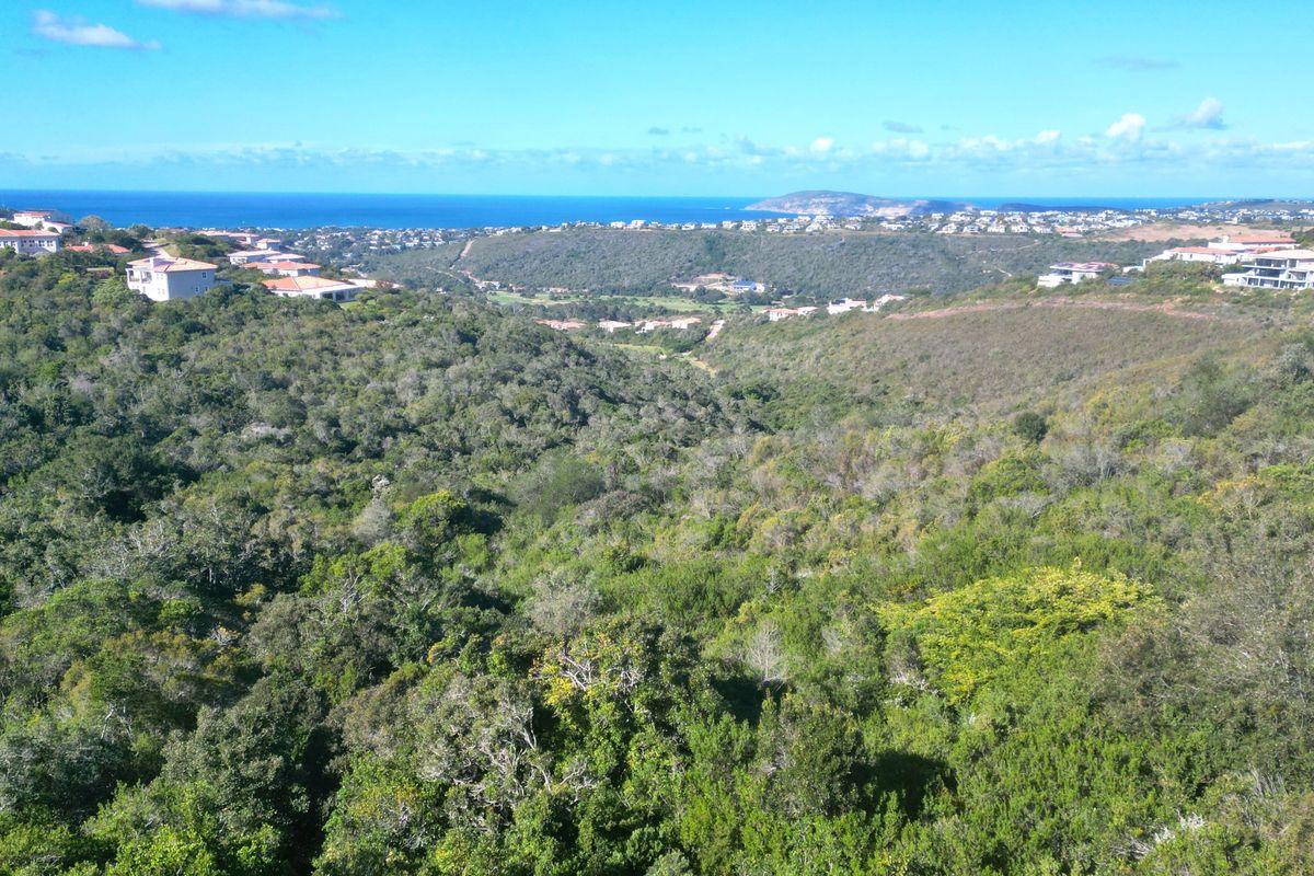 A scenic elevated view overlooking a lush green valley with coastal and ocean vistas in the distance.