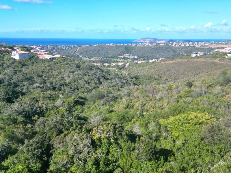 A scenic elevated view overlooking a lush green valley with coastal and ocean vistas in the distance.
