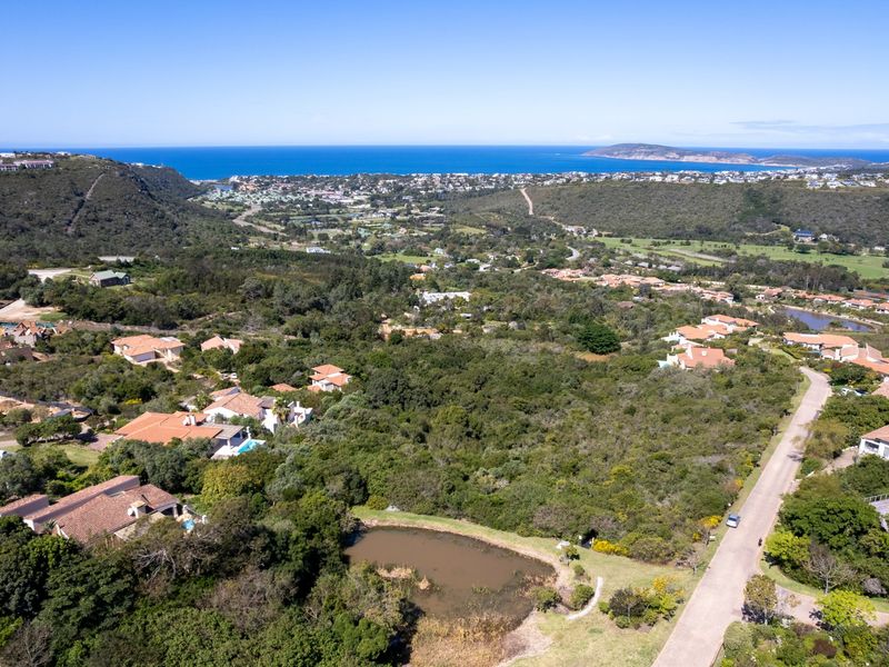 An aerial view of a residential area featuring natural vegetation, a small pond, and a paved road with a distant coastal outlook.