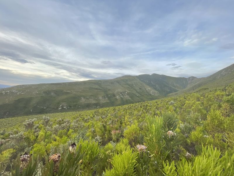 A scenic landscape view showcasing the natural mountain terrain and indigenous vegetation surrounding the farm property.