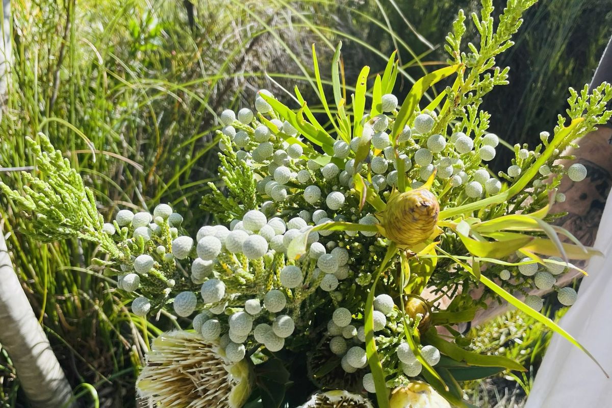 A close-up photograph of a bouquet of native flowers held outdoors in a natural garden setting.