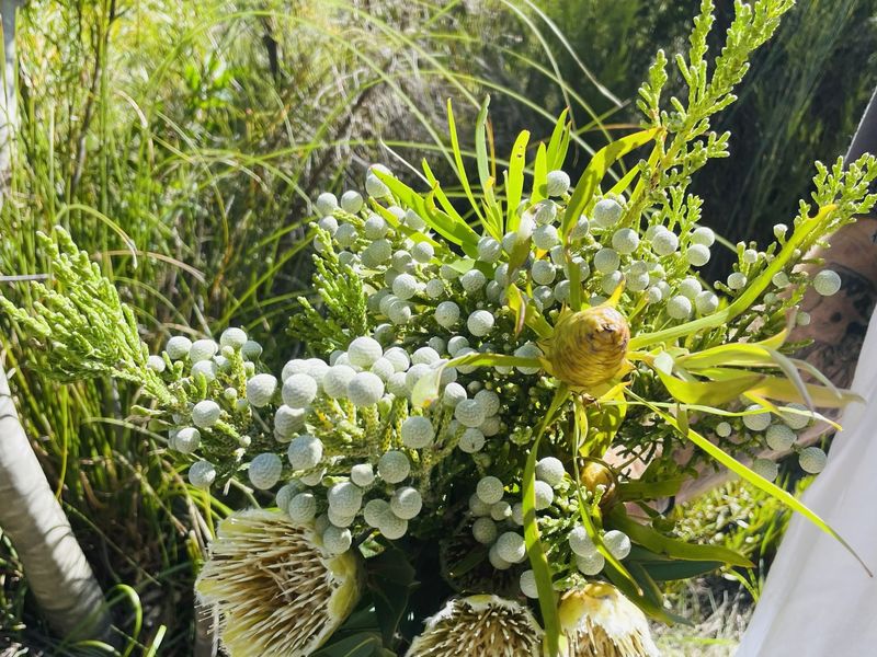 A close-up photograph of a bouquet of native flowers held outdoors in a natural garden setting.