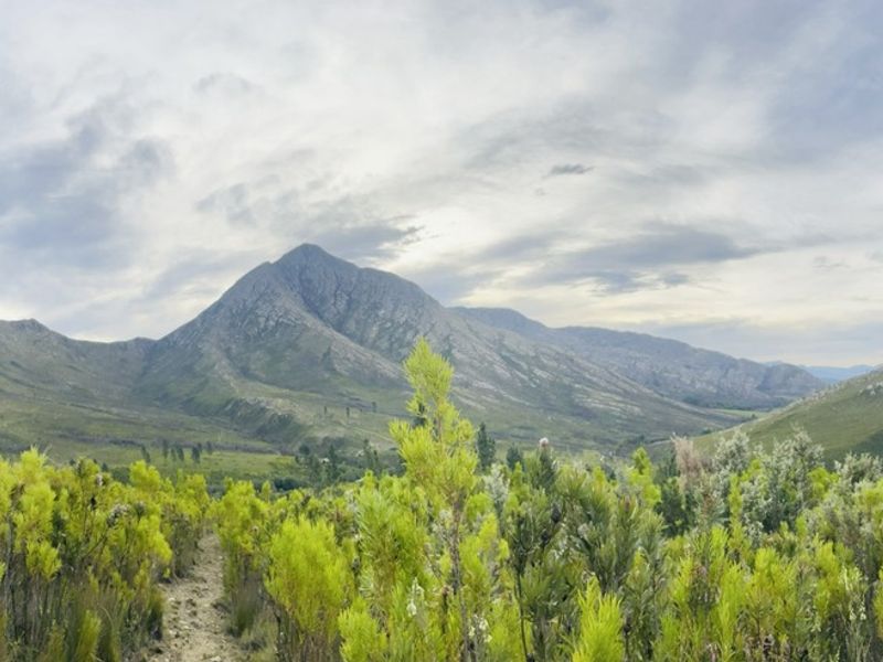 Panoramic view of the surrounding mountain range and natural fynbos landscape on the farm property.