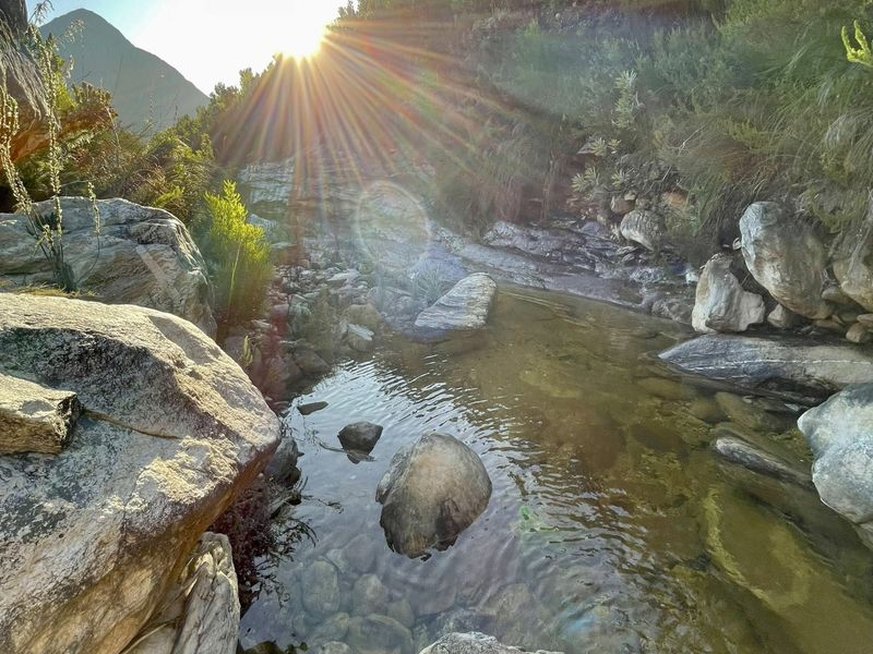 A scenic view of a natural mountain stream flowing through rocky terrain, surrounded by indigenous vegetation under a bright sun.