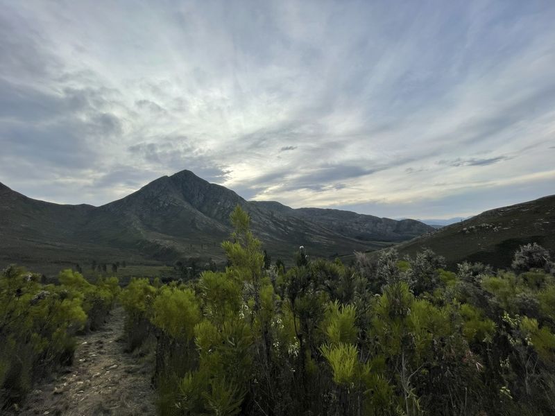A scenic landscape view of the surrounding mountains and natural vegetation on the farm property.