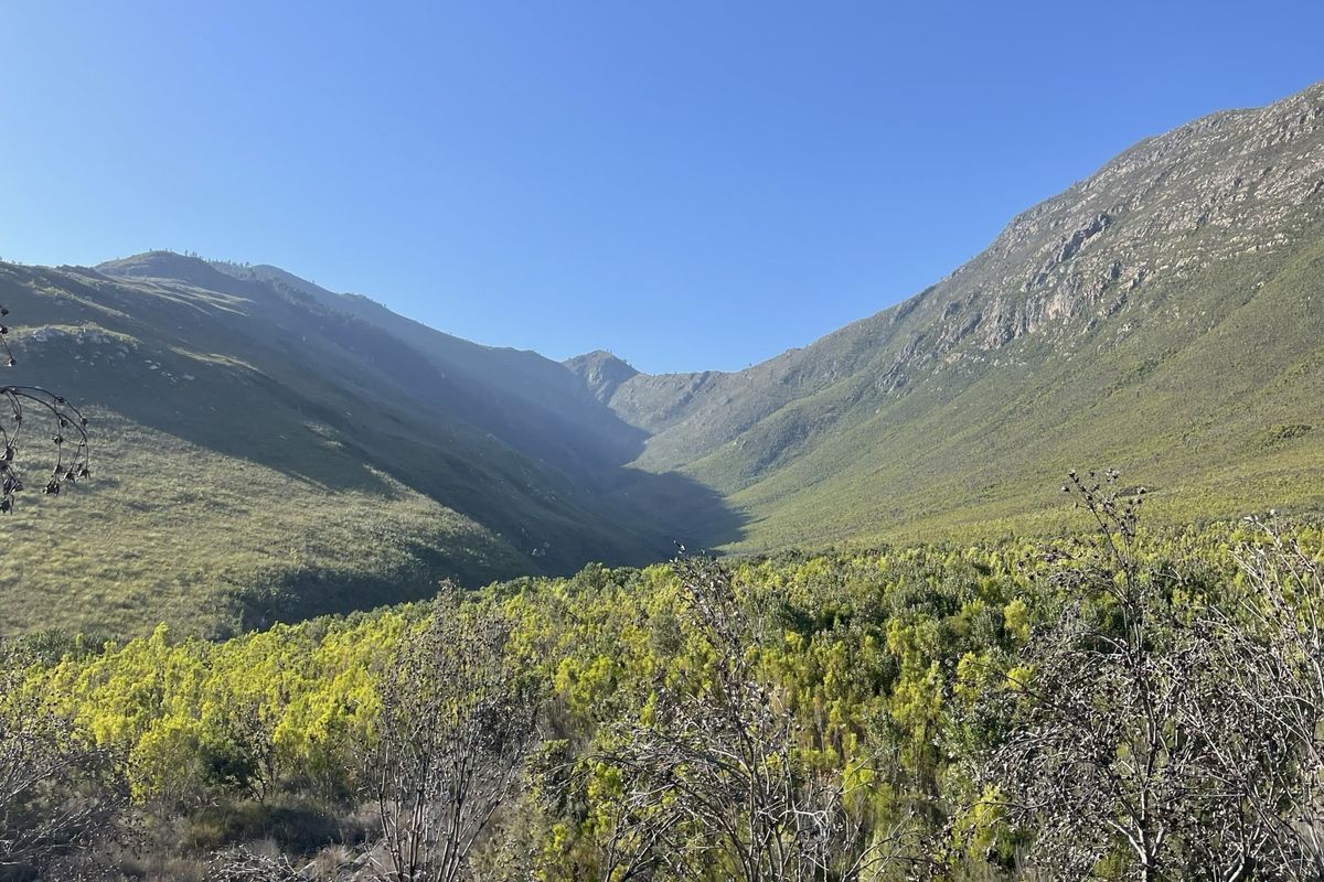 A scenic view of the surrounding mountain landscape and natural vegetation on the farm property.
