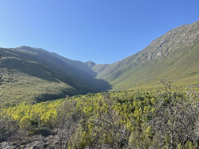 A scenic view of the surrounding mountain landscape and natural vegetation on the farm property.