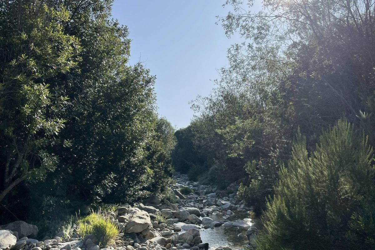 A scenic view of a natural rocky stream flowing through the farm landscape, surrounded by mature trees and native vegetation.