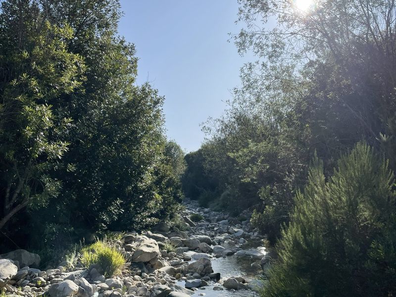 A scenic view of a natural rocky stream flowing through the farm landscape, surrounded by mature trees and native vegetation.