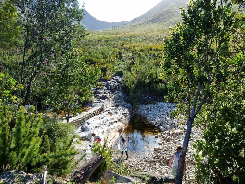 A scenic view of a natural stream and rocky riverbed set against a mountainous landscape on the farm property.