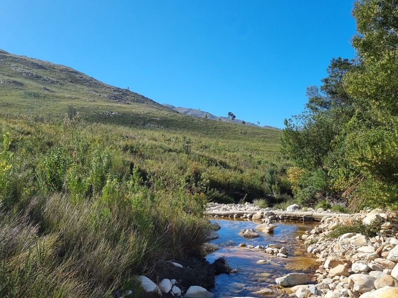 A scenic view of a natural mountain stream flowing through a rocky riverbed, surrounded by native vegetation and rolling hills.