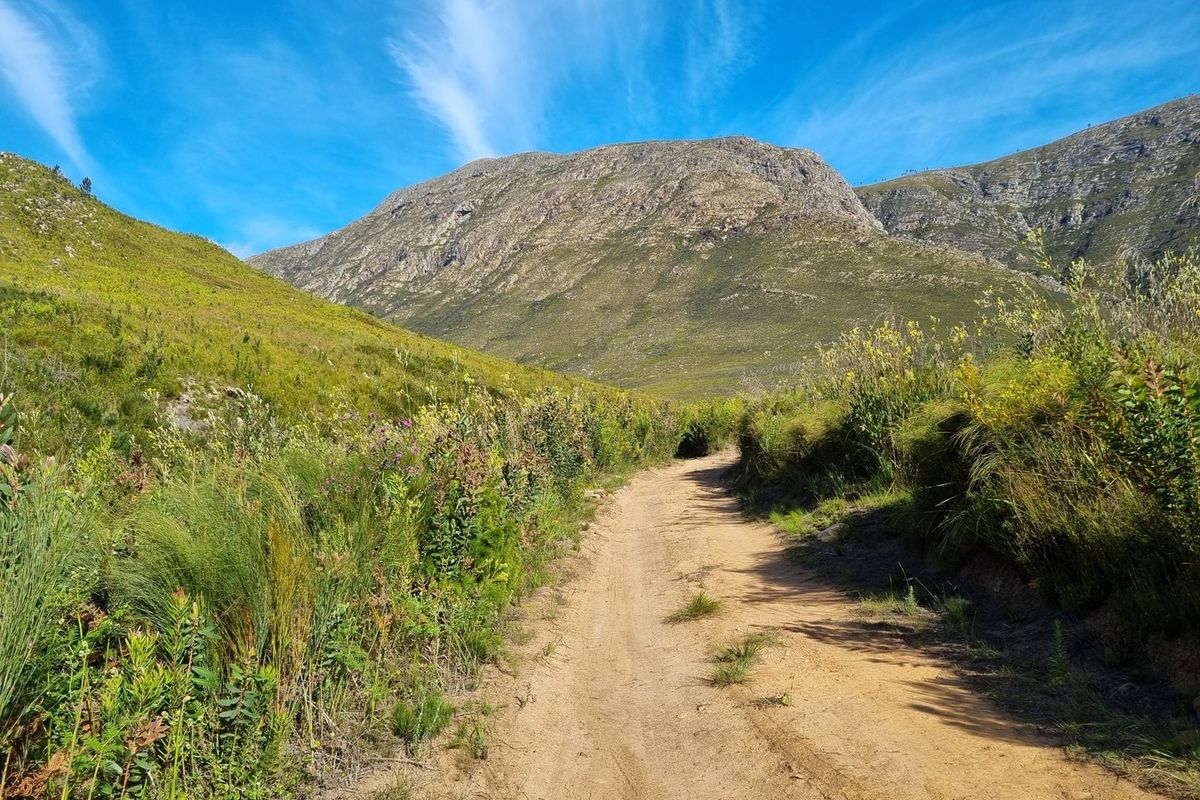 A scenic view of a dirt track winding through natural fynbos vegetation towards a prominent mountain range.